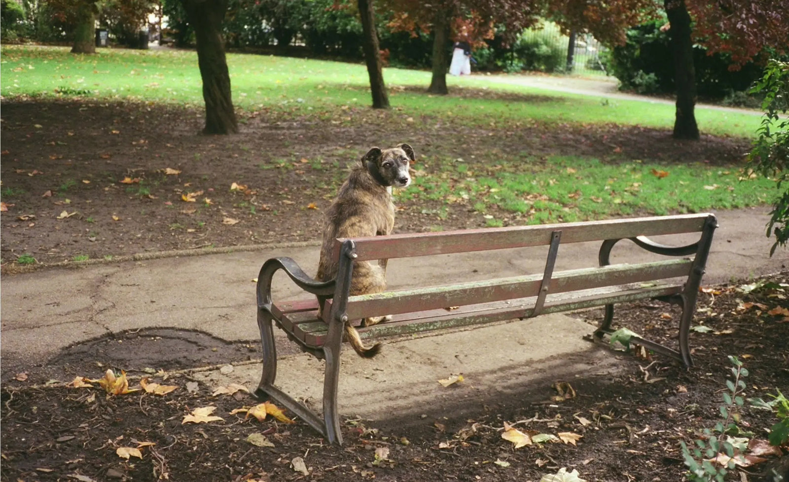 Guide to Getting Busted (Stephen Leslie) - Framelines