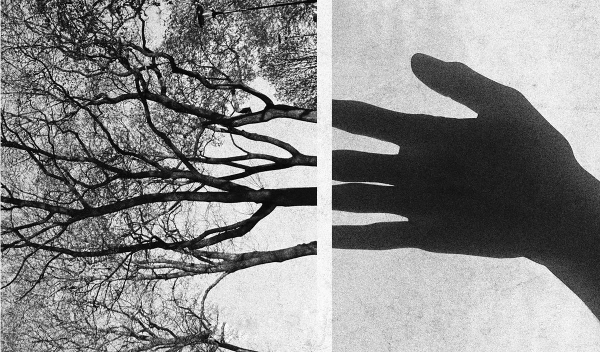 Framelines 10 with Alex Webb, Rebecca Norris Webb, Roger Deakins, Sheron Rupp, Billy Dinh, Amanda Fordyce, Joakim Moller, Eric Wareheim