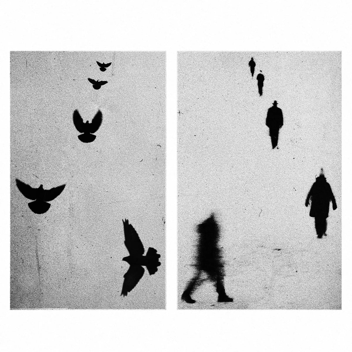 Framelines 10 with Alex Webb, Rebecca Norris Webb, Roger Deakins, Sheron Rupp, Billy Dinh, Amanda Fordyce, Joakim Moller, Eric Wareheim