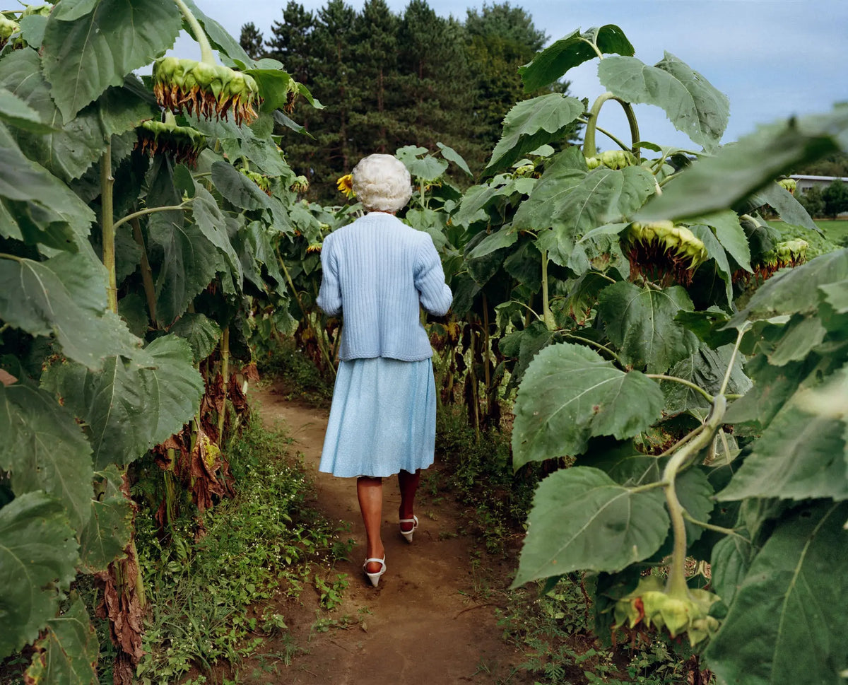 Framelines 10 with Alex Webb, Rebecca Norris Webb, Roger Deakins, Sheron Rupp, Billy Dinh, Amanda Fordyce, Joakim Moller, Eric Wareheim