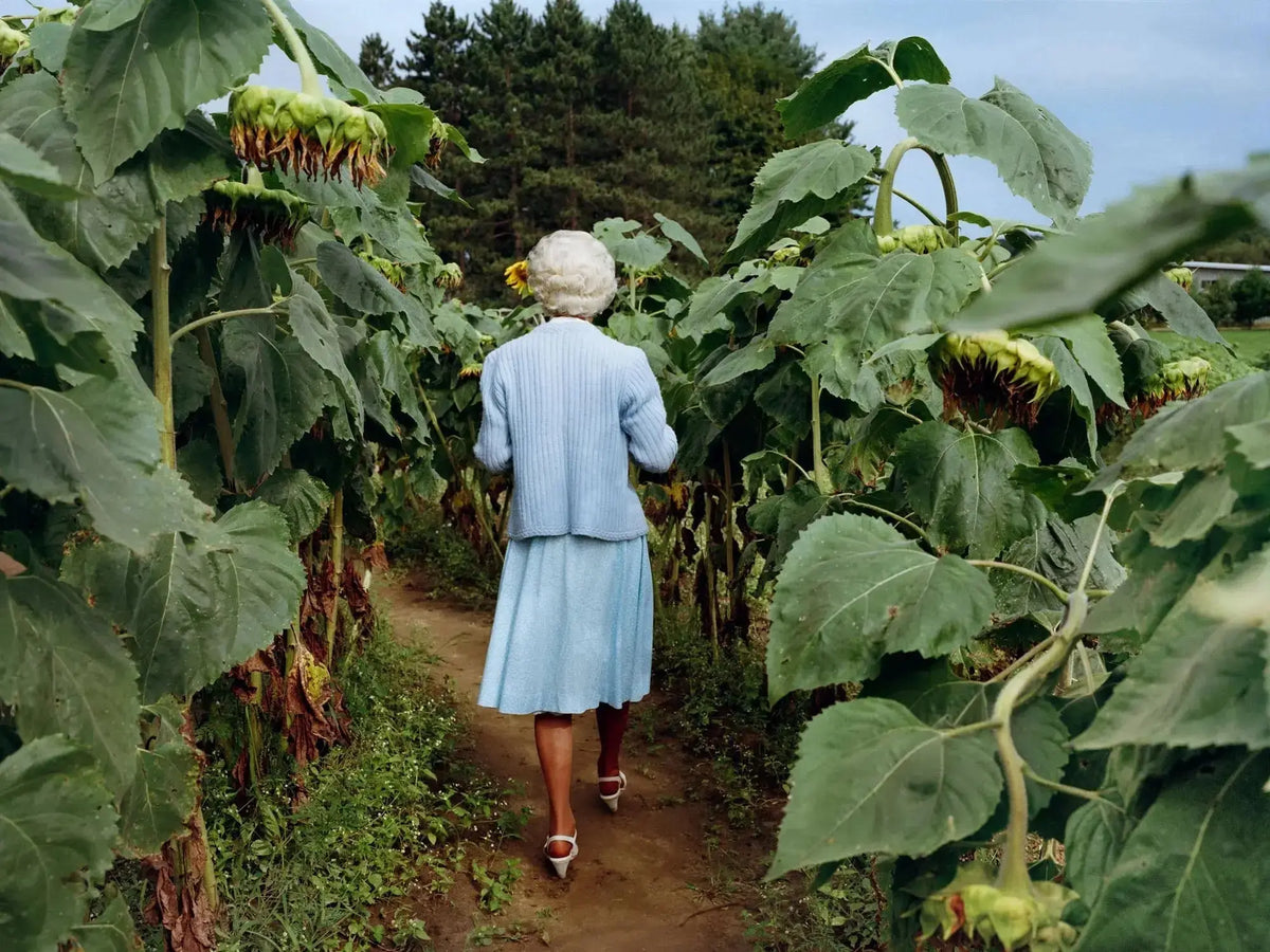 Framelines 10 Digital Edition with Alex Webb, Rebecca Norris Webb, Roger Deakins, Sheron Rupp, Billy Dinh, Amanda Fordyce, Joakim Moller, Eric Wareheim
