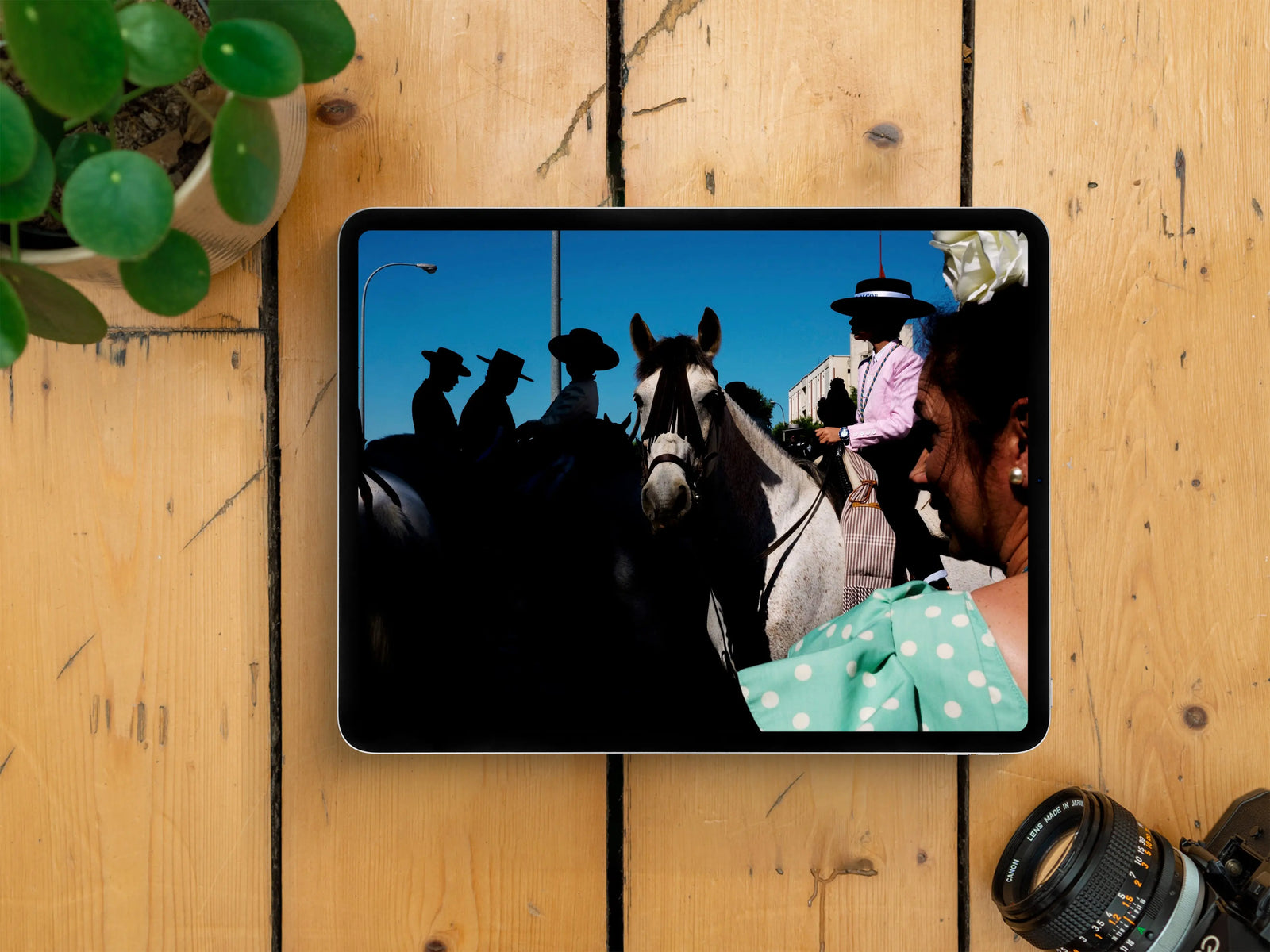 Framelines 02 (Digital Edition) with Joshua K Jackson, Billy Dinh, Polly Rusyn, Aiyush Pachnanda, Sam Bohorhquez and Stephen Leslie - Framelines