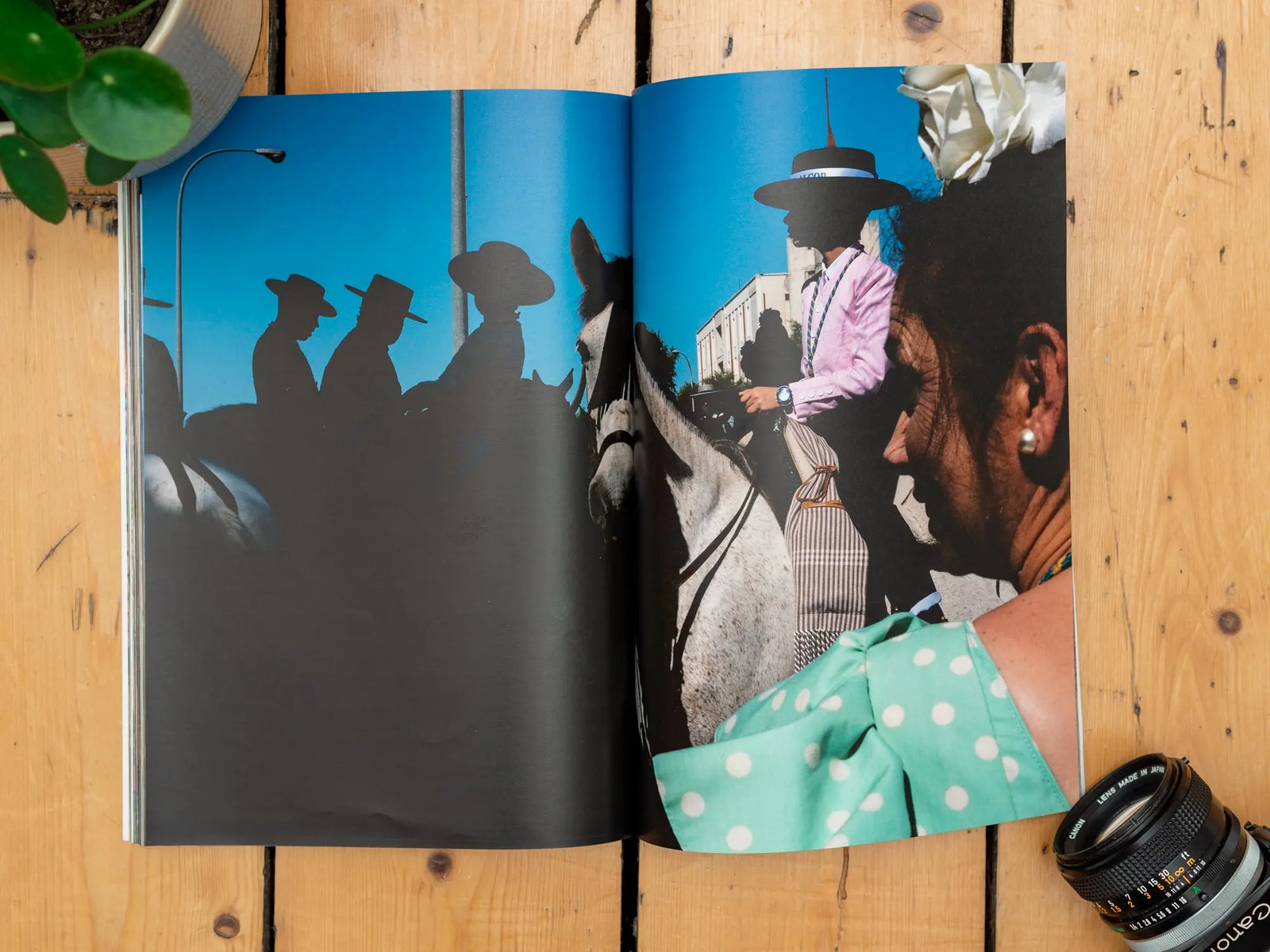 Framelines 02 with Joshua K Jackson, Billy Dinh, Polly Rusyn, Aiyush Pachnanda, Sam Bohorhquez and Stephen Leslie - Framelines