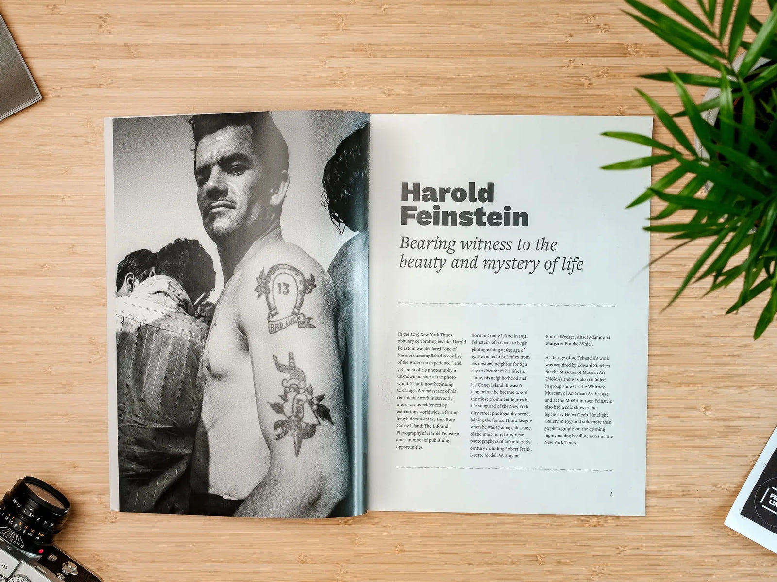 Framelines 03 with Harold Feinstein, Jeremy Paige, Niall McDiarmid, Holly-Marie Cato, Teresa Freitas and Niall O'Brien - Framelines