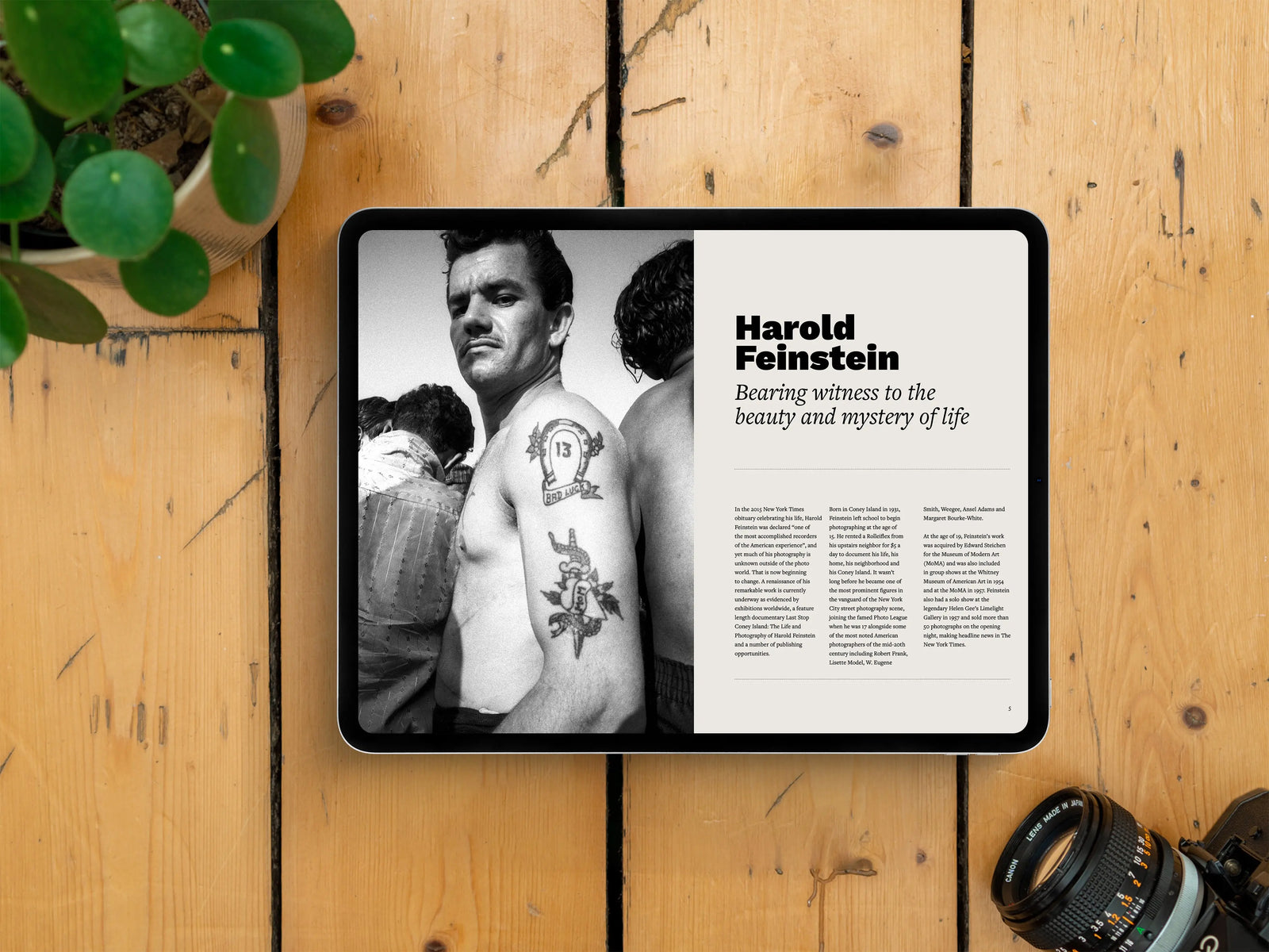 Framelines 03 (Digital Edition) with Harold Feinstein, Jeremy Paige, Niall McDiarmid, Holly-Marie Cato, Teresa Freitas and Niall O'Brien - Framelines